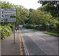 Junction ahead on Falkland Road, Torquay