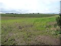 Farmland west of Aspatria