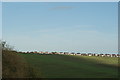 View of houses on Tattersall Gardens from the path up to Hadleigh Castle #2