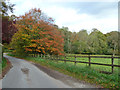 Autumn colour near Kirby House