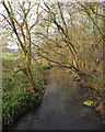 SP0974 : The River Cole flows northeast, looking downstream from a footbridge by Robin Stott