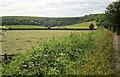 Towards Elcombe Down