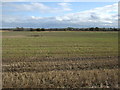 Stubble field off Tollgate Road