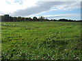 Farmland south of Smithy Lane, Hurlston Green