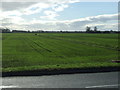 SD3414 : Crop field off Birkdale Kop by JThomas