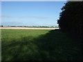 Farmland and hedgerow