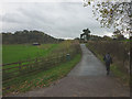 Footpath south from Skirden Bridge