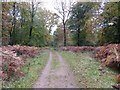 Road, Churchill Inclosure