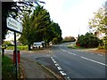 Junction of School Lane and Hambledon Road