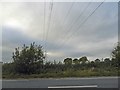 Power lines cross the A38 near Puddleworth