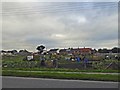 Woodfield allotments