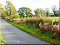 Looking along School Lane across footpath junction