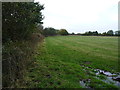 A damp footpath across a meadow