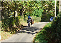 TQ1041 : Surrey:  Holmbury Road by Dr Neil Clifton
