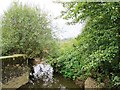 Cripsey Brook north of Banson