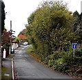 Road west to Cildaudy Farm, Coytrahen