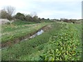 Buck Beck north west of Humberston