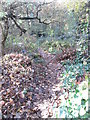 Woodland Path - Ash Brow Road