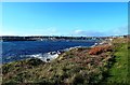 Wick From The North Head Path