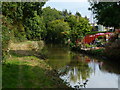 Ashby Canal at Mill Farm Park