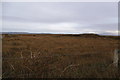 L6344 : Very rough grazing - Ballyconneely Townland by Mac McCarron