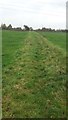 Linnyshaw Moss Farm footpath