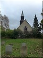 Cemetery adjacent to the former St Swithin, Patney (iii)