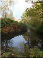 Lake at Glyn Isa