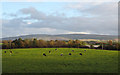 Field near to Catgallows Hill