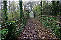 Footpath by the Aller Brook