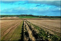 ND1759 : Clayock Farmland Drainage by Mary and Angus Hogg