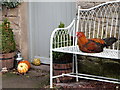 NU0200 : Still life with chicken and pumpkins by Andrew Curtis