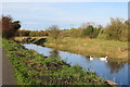 Newry Canal