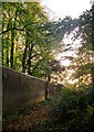 By the Park wall, Broomfield Hill