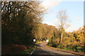 Autumn colours frame the road into Newstead