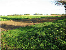 TF8323 : Crop fields by Kipton Farm by Evelyn Simak