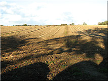 TF8323 : Stubble field by Kipton Farm by Evelyn Simak