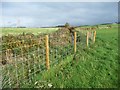 Fenced beck, south-east of Pasture House