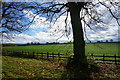 Farmland, Welbeck Estate