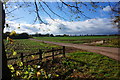 Agricultural land, Welbeck Estate