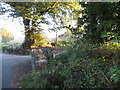 Farm entrance on Mill Road