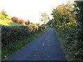 View south-eastwards along Mill Road