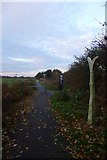 SE6238 : York to Selby cycle path by DS Pugh