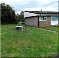 Tree stump, Kings Fee, Monmouth