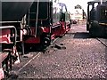TL0997 : Nene Valley Railway - 1999 by Helmut Zozmann