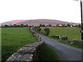 View eastwards from the Bog Road bridge over the Forkhill River