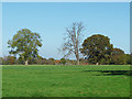 View towards West Horsley