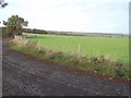 Track and Farmland near King