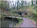 Footbridge and Otter