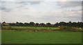 Farmland between the ECML and A1